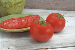 Tomato Bigdena